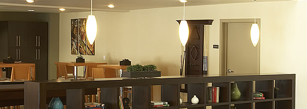 Los Angeles Contractor Lighting Solutions